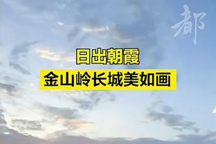 半岛平台官方网站下载安装截图4